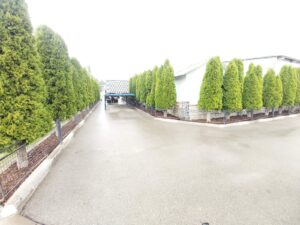 IMG_8016
