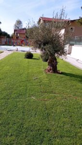 IMG_8046